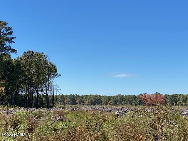 0 Ahoskie Cofield Road, Ahoskie, NC 27910
