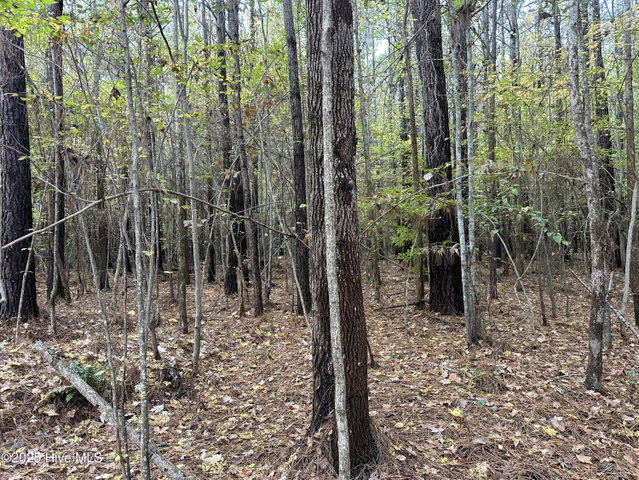Lot 95-77 P95-77 Crocker Hill Road, Elizabeth City, NC 27909 — photo 13