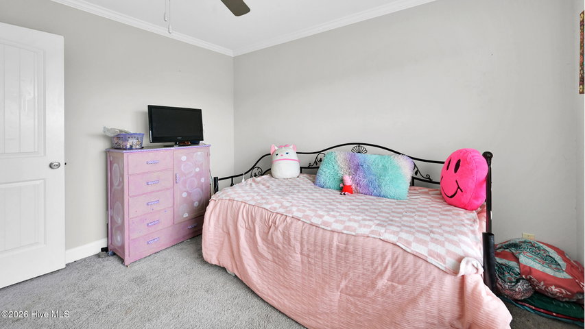 3070 Fernleaf Drive, Greenville, NC 27858 — photo 19