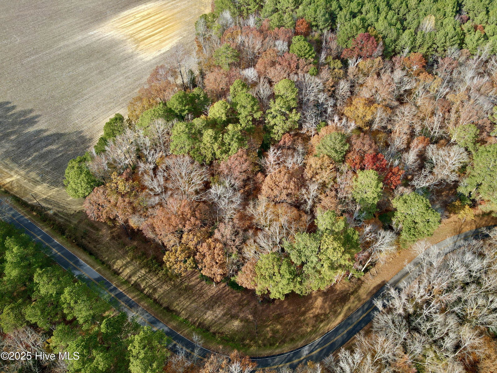 0 Williams Road, Williamston, NC 27892 — photo 4