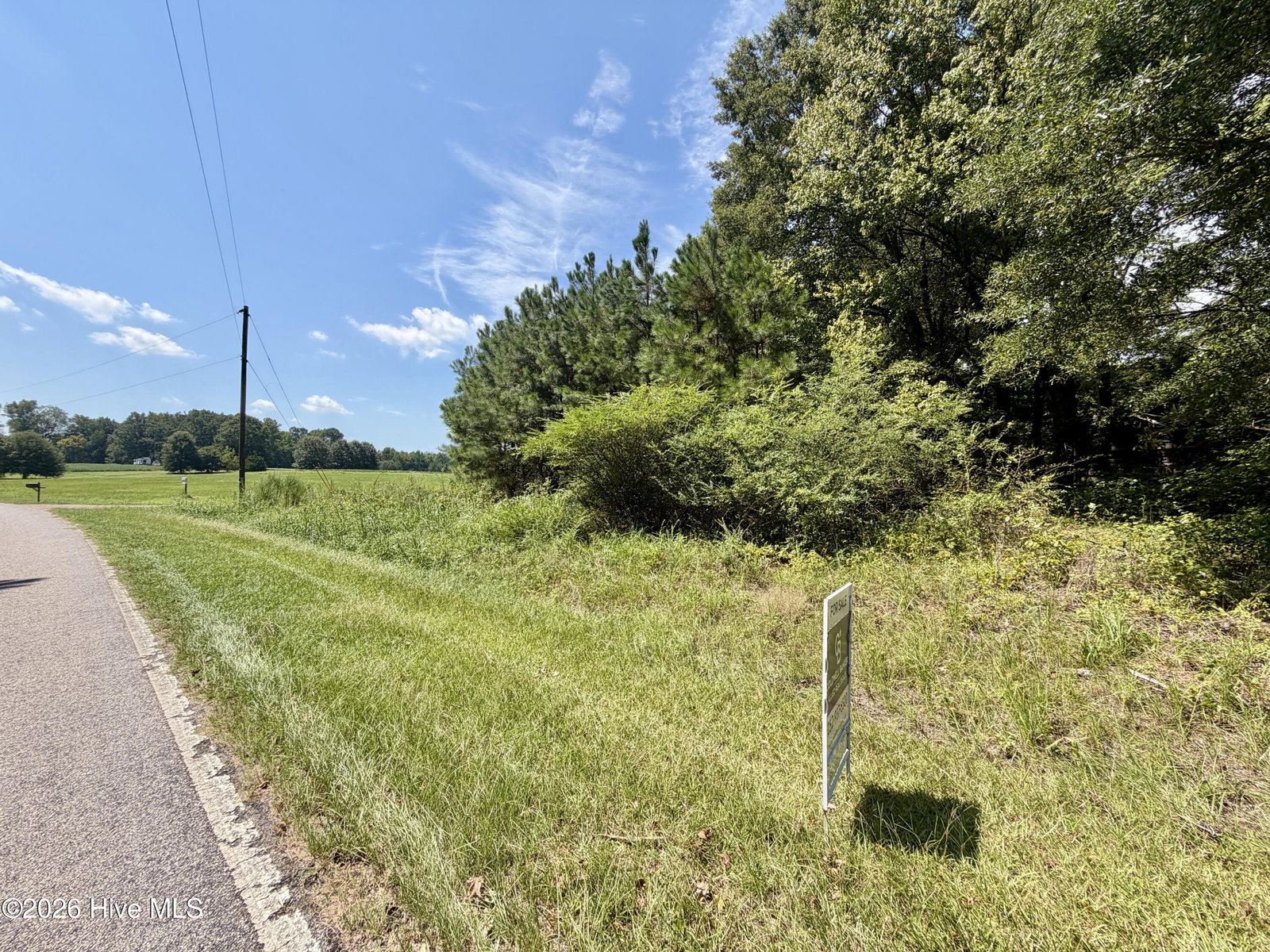 000 Mt Zion Church Road, Nashville, NC 27856 — photo 5