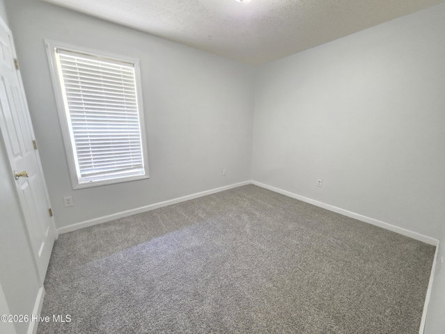 303 Olive Branch Boulevard, Grifton, NC 28530 — photo 23
