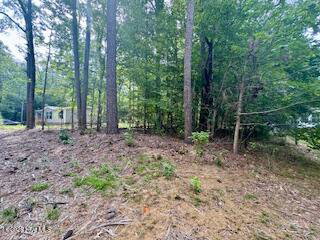 50,51,& 53 50,51, & 53 Chestnut & Teak Street, Hertford, NC 27944 — photo 3
