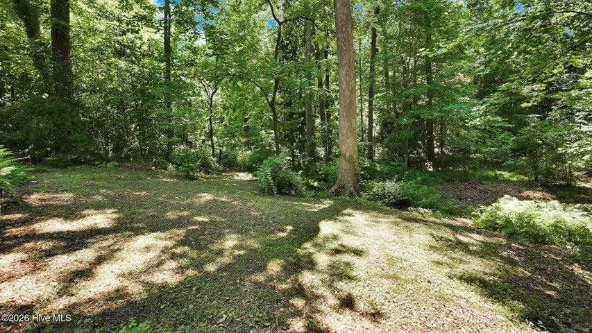 141 E Longmeadow Road, Greenville, NC 27858 — photo 49