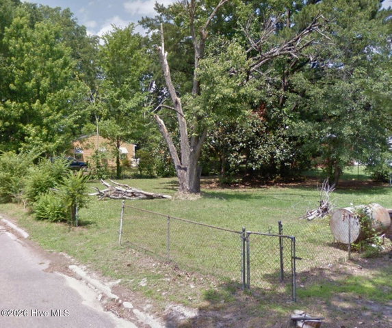 1334 Elm Street, Scotland Neck, NC 27874 — photo 3
