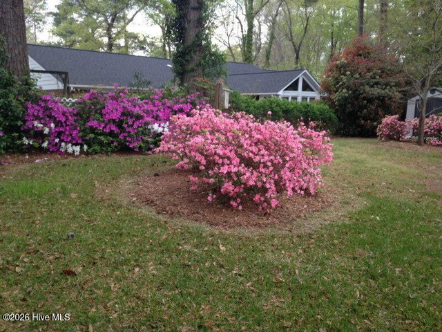 903 E Woodlawn Drive, Williamston, NC 27892 — photo 68