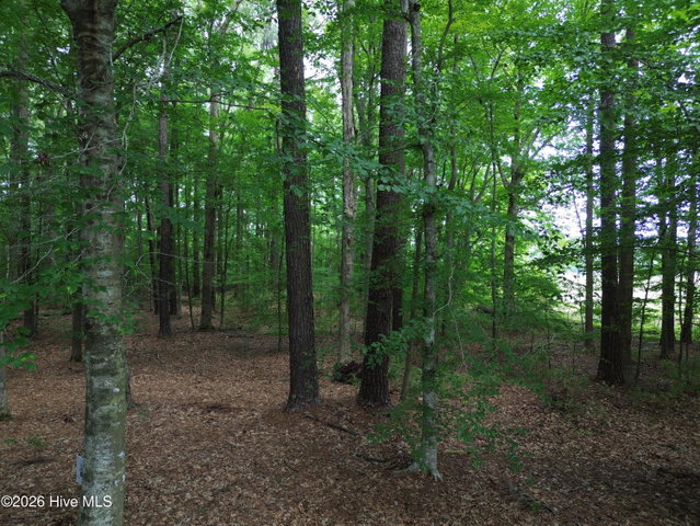 417 Hastings Lane, Elizabeth City, NC 27909 — photo 64