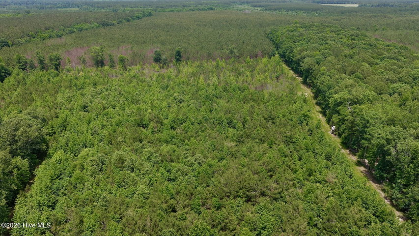 0 Indian Woods Road, Windsor, NC 27983
