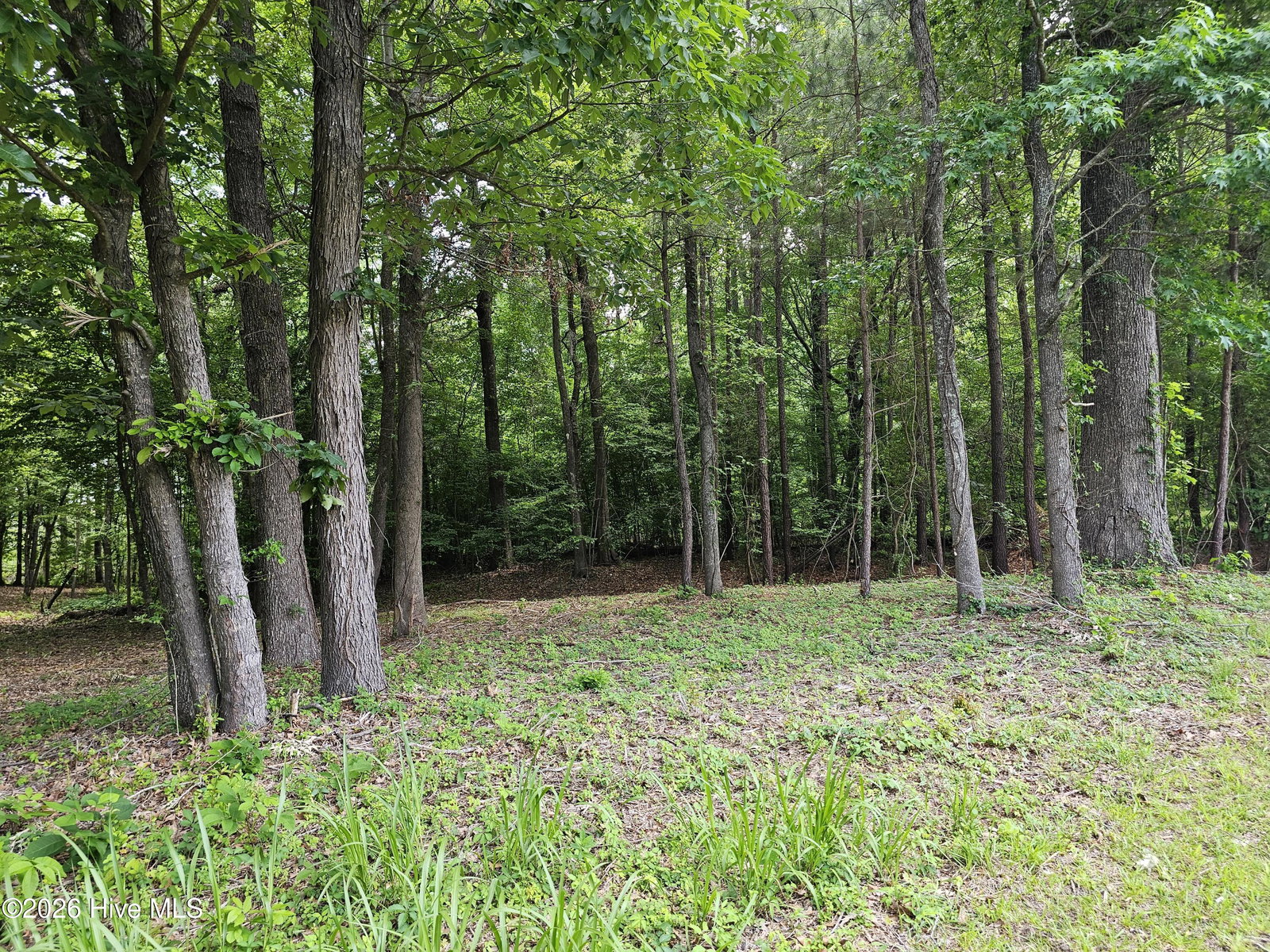 Lot 58 58 See View Lane, Hertford, NC 27944 — photo 4