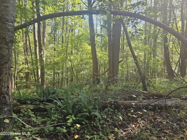 0 Off Old County Home Road, Nashville, NC 27856 — photo 3