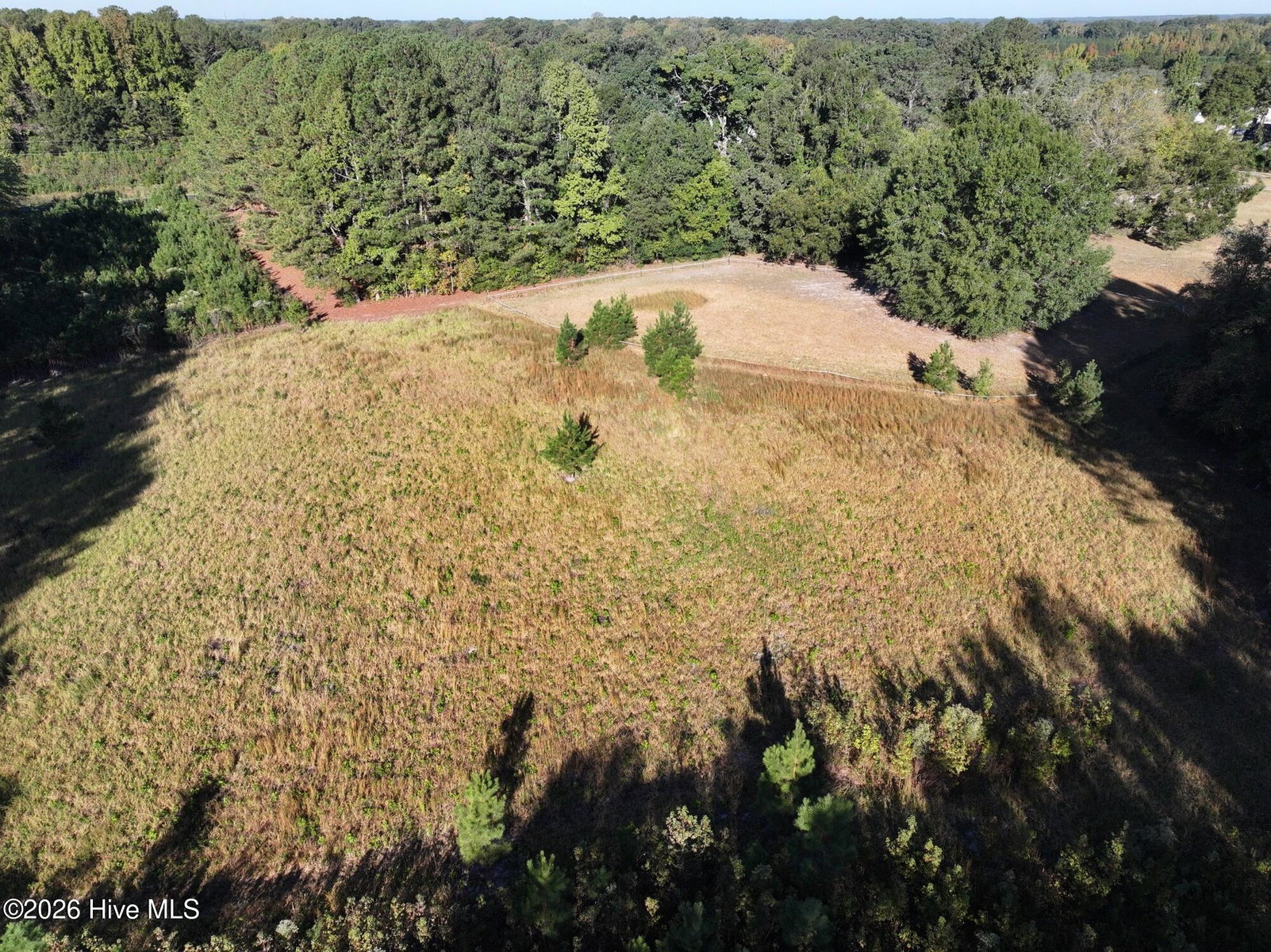 877 Cox Avenue, Rocky Mount, NC 27801 — photo 4
