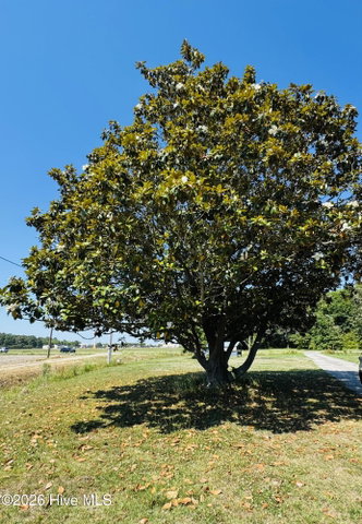 1613 Weeksville Road, Elizabeth City, NC 27909 — photo 48