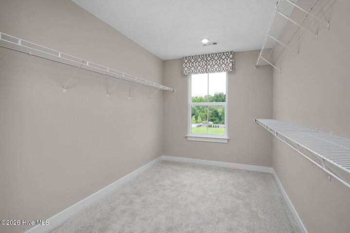 127 Harmonica Lane, Greenville, NC 27834 — photo 24