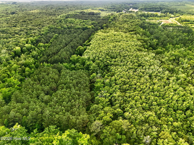 Tbd Pea Ridge Road, Roper, NC 27970 — photo 13