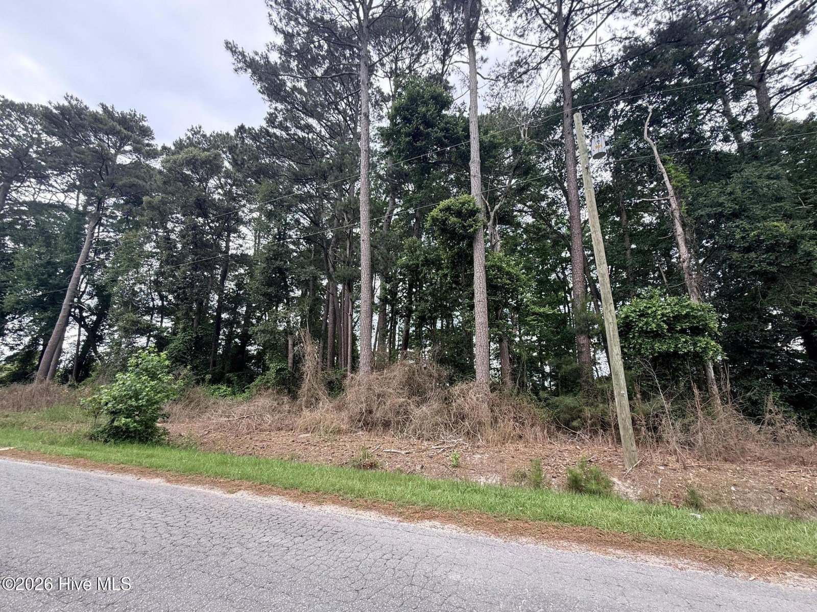 0 3, 4, 5, 6 Idlewild Drive, Greenville, NC 27834 — photo 3