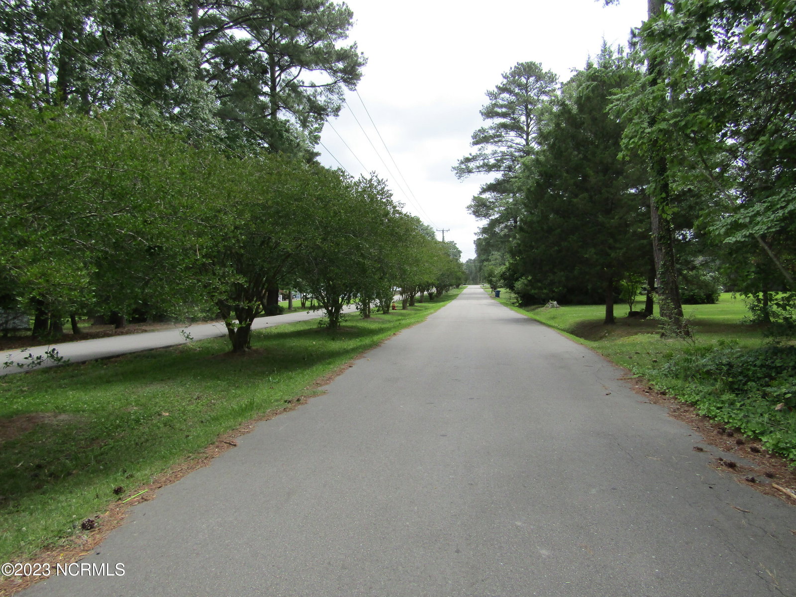 Lot 8 Quail Drive, Plymouth, NC 27962 — photo 4