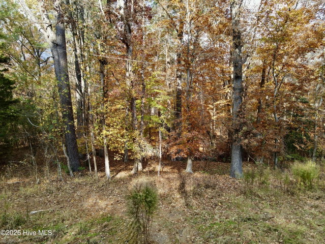 0 Williams Road, Williamston, NC 27892 — photo 9