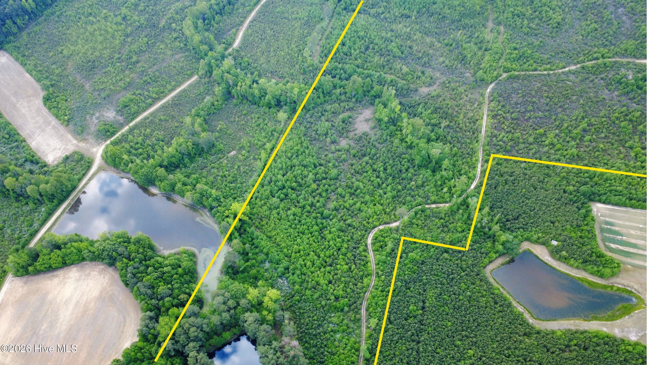 5570 Lancaster Store Road, Spring Hope, NC 27882 — photo 3