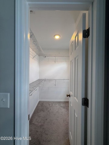 4160 Brook Creek Lane Unit A, Greenville, NC 27858 — photo 14