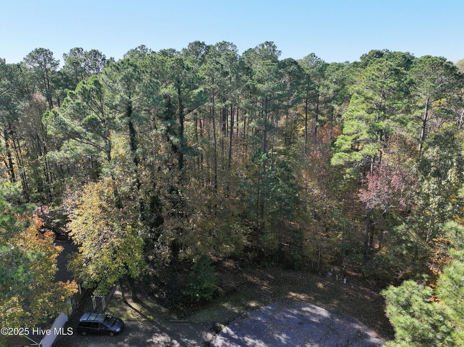 105 38 Lumber Circle, Hertford, NC 27944 — photo 4