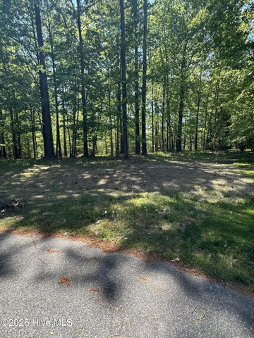 F-11 F-11 Mattaponi Drive, Hertford, NC 27944 — photo 3