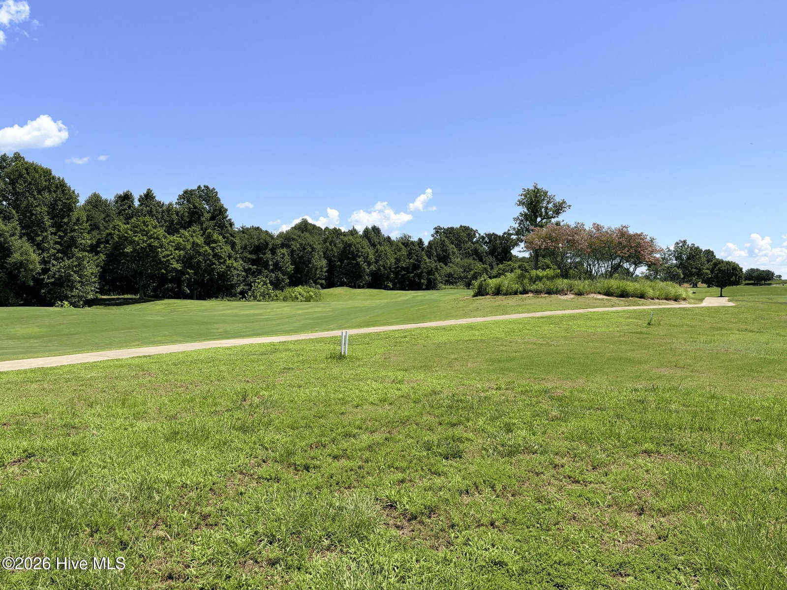 126 403 Prince Court, Merry Hill, NC 27957 — photo 4