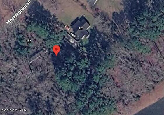 125 Mockingbird Lane, Hollister, NC 27844 — photo 5