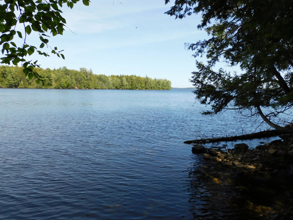 Lot 2 Big Lake Shores Road Greenlaw Chopping Twp