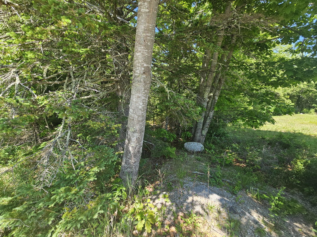 20260611_131558