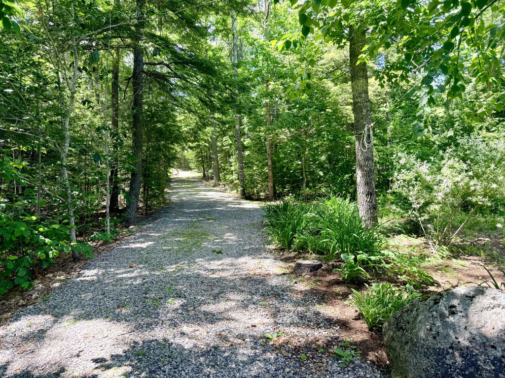 Crichton Way