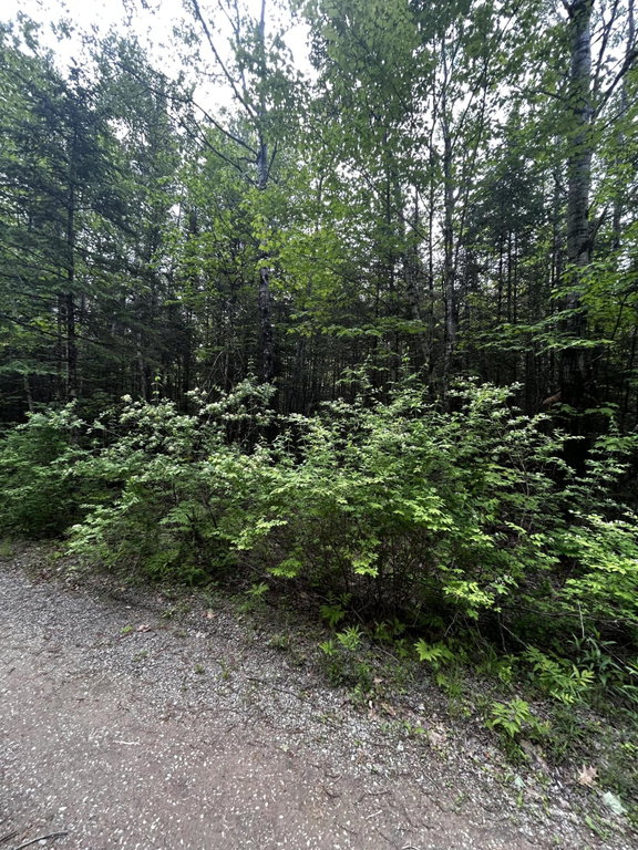 Lot 9-2 Lilly Drive Newport