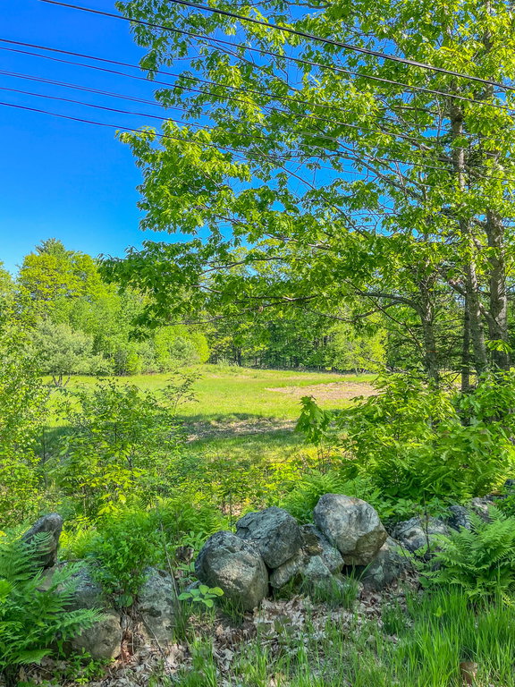 13 Dondero Road Chelsea