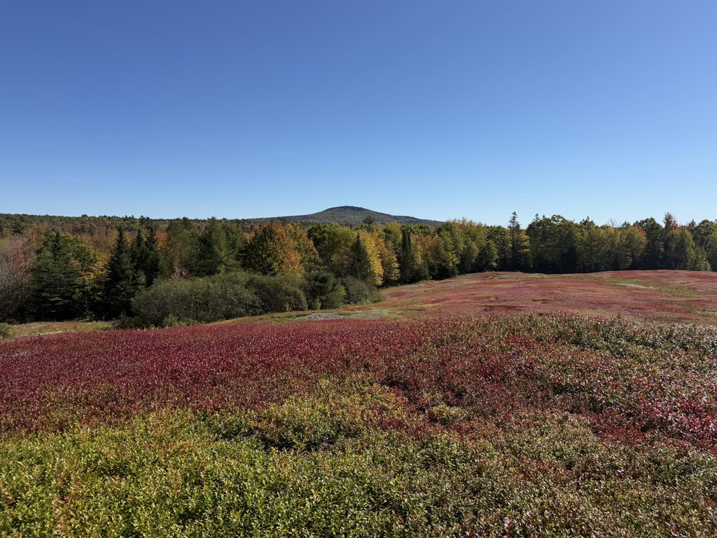 MAP 31 LOT 29