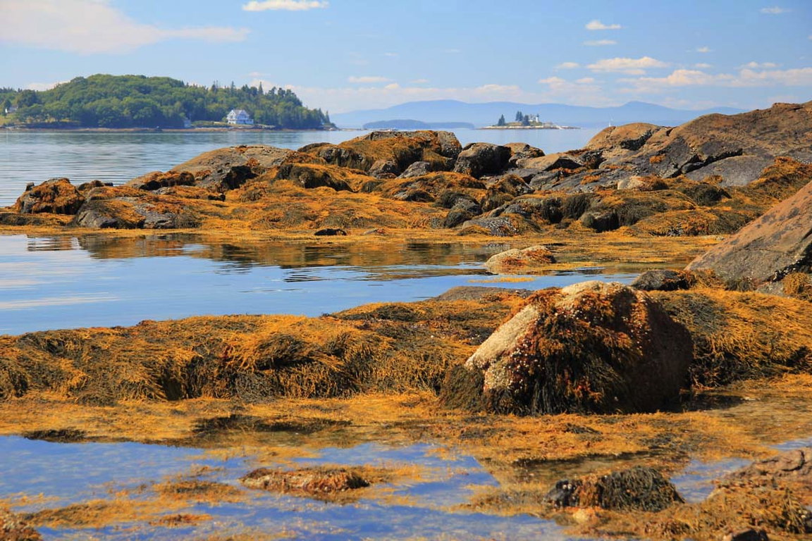 simple_view_Brooksville_maine