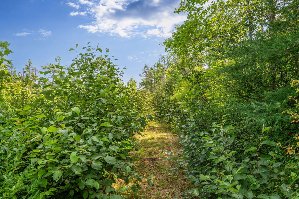 72-web-or-mls-26-wolf-cove-rd