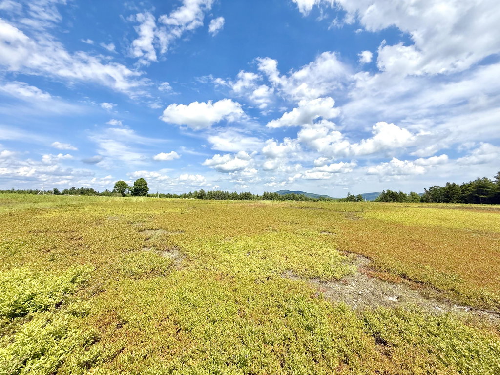 LOT 11