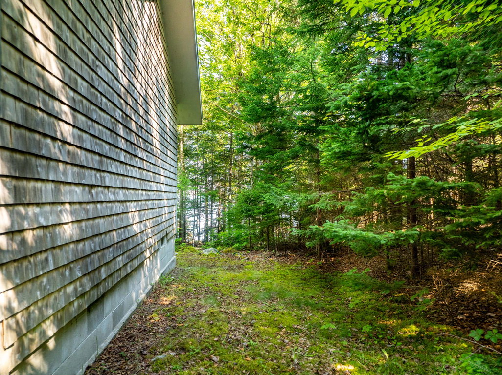 Side yard
