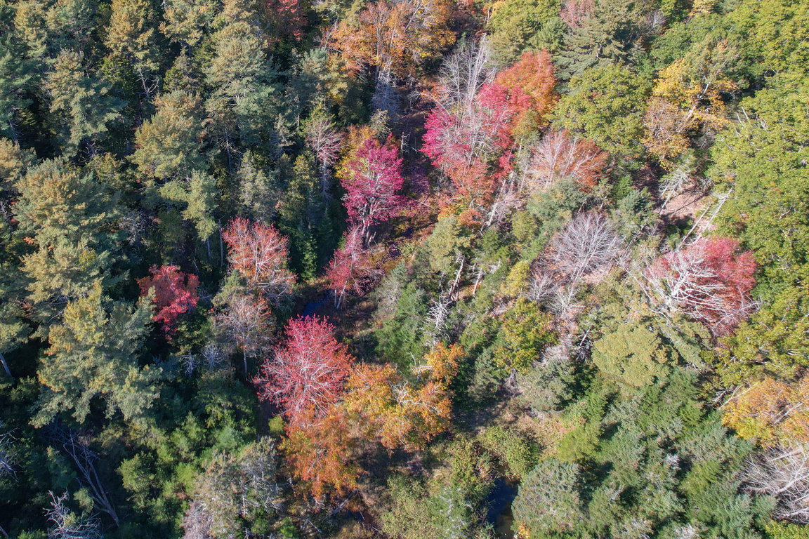 DJI_0228