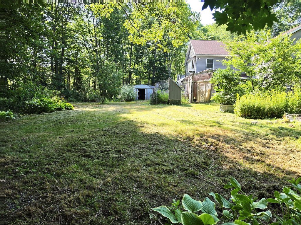 Backyard