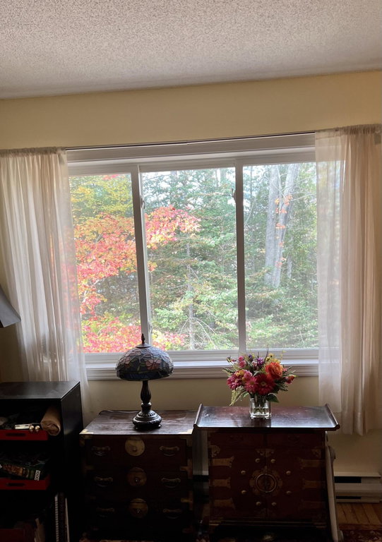 Unit 206 Living Room Windo