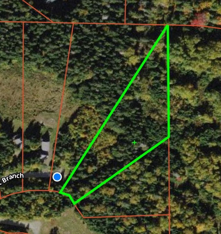 Lot 59 Left Branch  Rangeley Plt