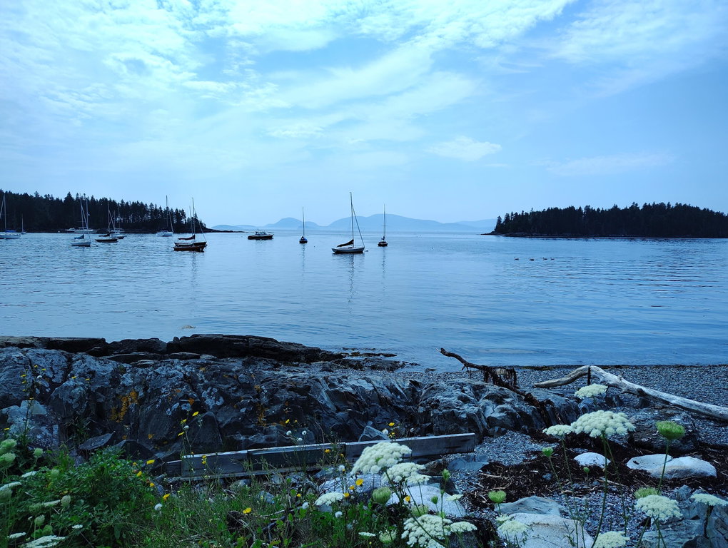 harbor mdi