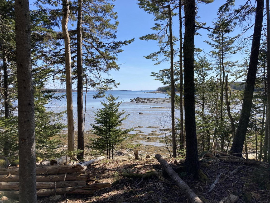 Summer view of Bay