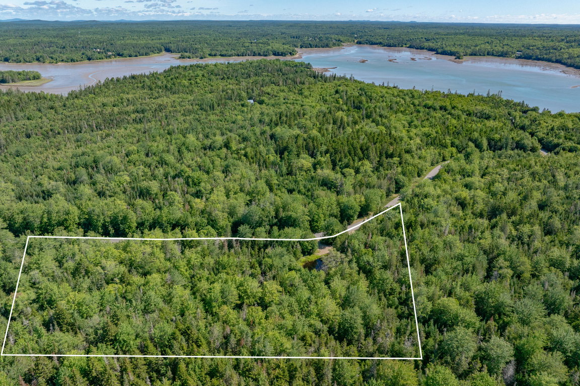 17-Lot 12_ Merganser Drive-DTP