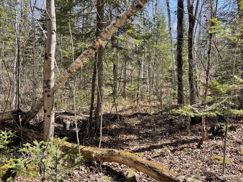 M7 L5 Bemis Road Rangeley Plt