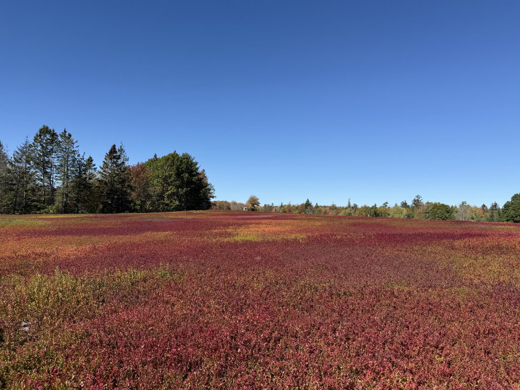 MAP 31 LOT 29