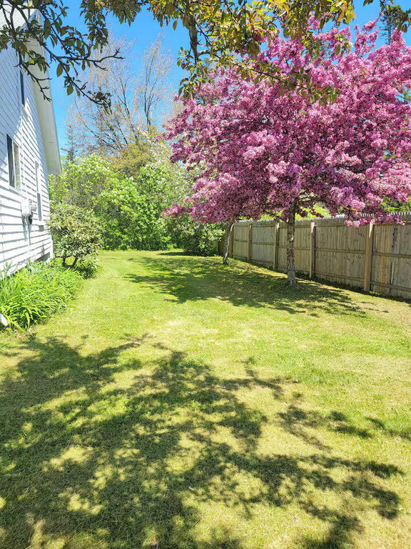 Side yard