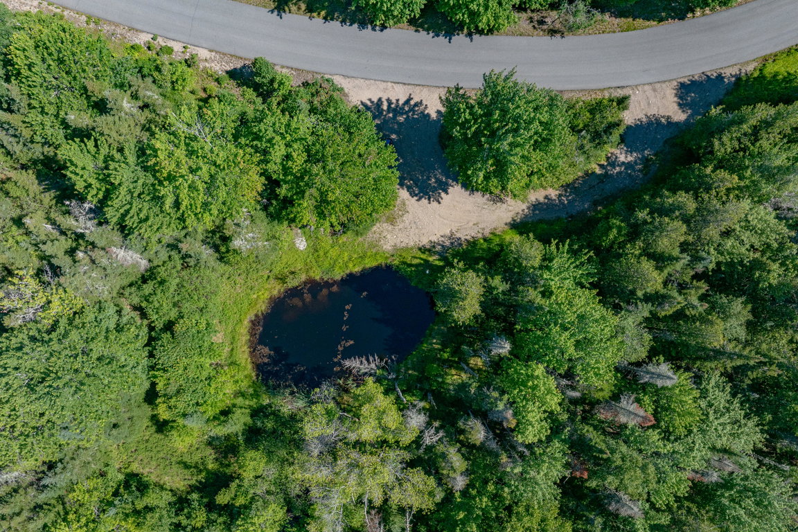 24-Lot 12_ Merganser Drive-DTP