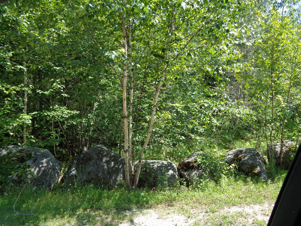 View along Road