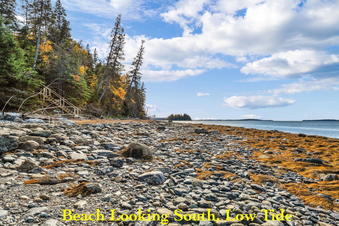 7-web-or-mls-11-colwell-ln